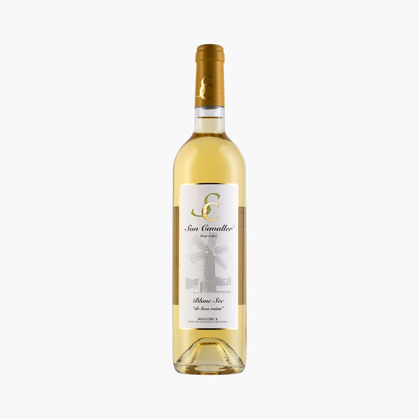 2024 Blanc Sec